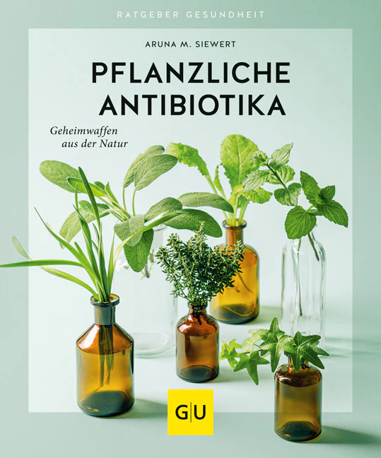 Vorschaubild 2